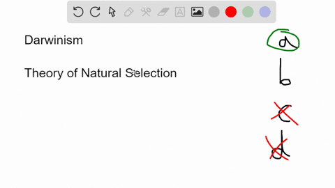 charles-darwins-great-contribution-was-the-theory-of-a-how-evolution-works-natural-selection-b-evolu-73781