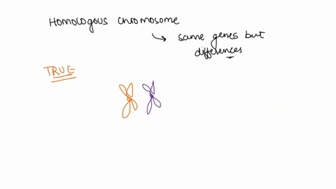 correctly-label-the-following-paits-of-the-internal-anatomy-nean-right-pulmonary-veins-aora-leli-pulmnonanyvins-fumonar-50m-unn-lelt-venbricle-right-ventricle-bicuspd-valvo-tricuspl-ansm-abt-51767