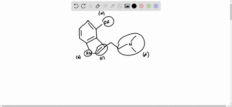 question-2-identify-each-of-the-labeled-functional-groups-in-the-structure-shown-below-a-oh-hn-6b-d-a-alcohol-b-alkanetalkyl-group-alkene-c-alkyne-benzenephenyl-d-akcoho-etner-amine-aldehyde-59414