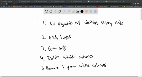 a-researcher-treats-dna-sample-and-a-plasmid-with-the-amp-and-lacz-for-the-enzyme-d-galactosidase-genes-with-the-restriction-enzyme-notl-with-the-goal-of-making-recombinant-dna-molecules-the-22705
