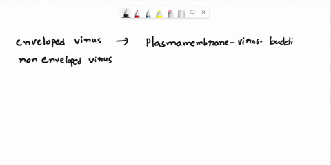 which-type-of-virus-is-most-likely-to-be-released-by-lysis-of-the-host-cell-multiple-choice-enveloped-virus-nonenveloped-virus-16805