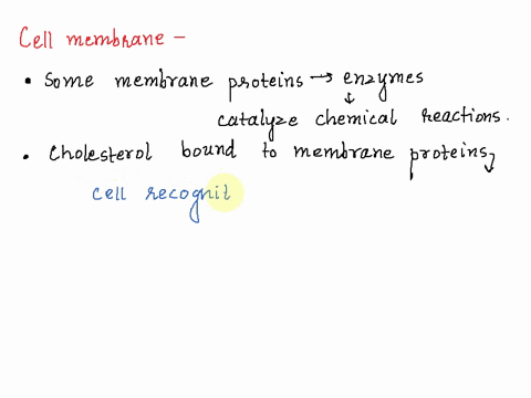 the-cell-membrane-is-composed-of-a-phospholipid-bilayer-containing-proteins-and-carbohydrates-choose-all-of-the-statements-that-accurately-reflect-the-structure-and-its-function-1-membrane-p-42341