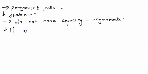 permanent-cellsa-divide-and-replace-damaged-cells-in-replacement-tissue-repairb-form-granulation-tissuec-are-responsible-for-removing-scar-tissued-are-usually-replaced-by-a-different-cell-ty-05483