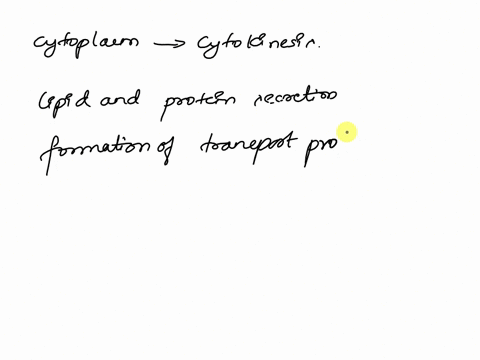 92-division-of-the-cytoplasm-is-reterred-to-45-03618-jo-apquasse-pue-5ap21s3-kiojanos-pue-27_-lipid-and-protein-secretion-formation-of-transport-proteins-are-functions-of-the-82-membrane-enc-35188