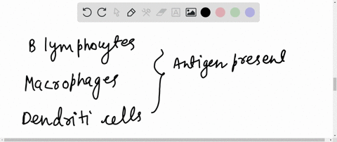 which-of-the-following-cell-cells-expresses-mhc-ii-on-the-surface-a-b-lymphochytes-b-macrophages-c-dendritic-cells-d-all-of-the-above
