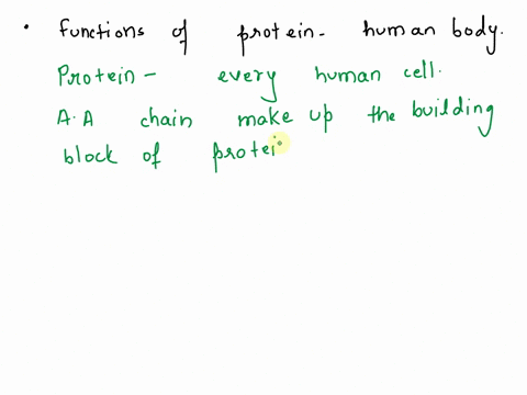 describe-the-functions-of-protein-in-the-human-body-15976