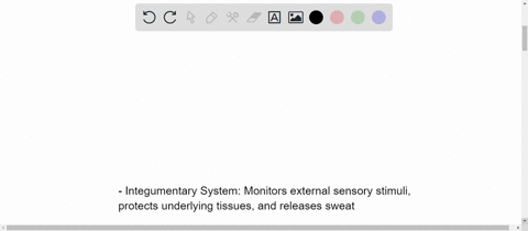 classify-each-of-the-following-functions-according-to-the-major-organ-system-that-performs-it