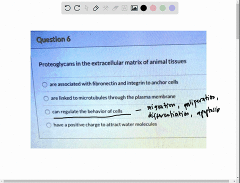 question-6-proteoglycans-in-the-extracellular-matrix-of-animal-tissues-are-associated-with-fibronectin-and-integrin-to-anchor-cells-are-linked-to-microtubules-through-the-plasma-membrane-can-83877