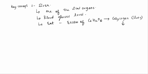 the-__________-stores-excess-glucose-and-releases-it-into-the-blood-when-needed-pancreas-stomach-liver-spleen-small-intestine-73463