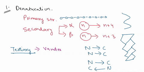 writing-assignment-you-have-leamed-about-how-the-denaturation-of-proteins-works-during-lecture-and-you-have-seen-examples-in-these-videos-now-you-will-write-2-3-page-discussion-of-protein-de-85146