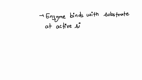 all-of-the-following-are-true-concerning-enzymes-except-which-statement-choose-one-they-can-bring-reactants-together-in-the-proper-orientation-for-chemistryto-occur-b-they-can-change-the-sha-34175