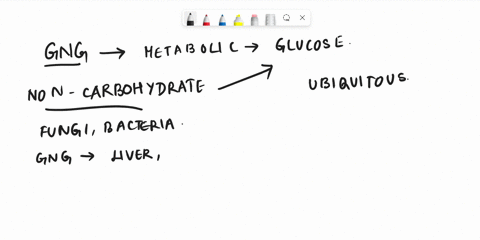 during-intense-exercise-your-body-has-the-ability-to-undergo-gluconeogenesis-a-process-in-which-certain-small-molecules-already-within-the-body-are-combined-together-and-built-into-new-gluco-36826