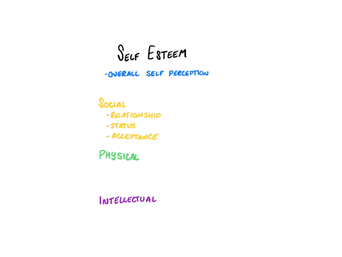 self-esteem-is-a-personal-way-of-perceiving-oneself-in-terms-of-social-physical-and-intellectual-attributes-evaluate-this-statement