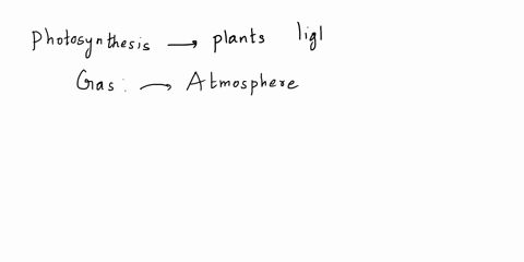 what-gas-is-produced-during-photosynthesis-and-released-into-the-atmosphere-91844