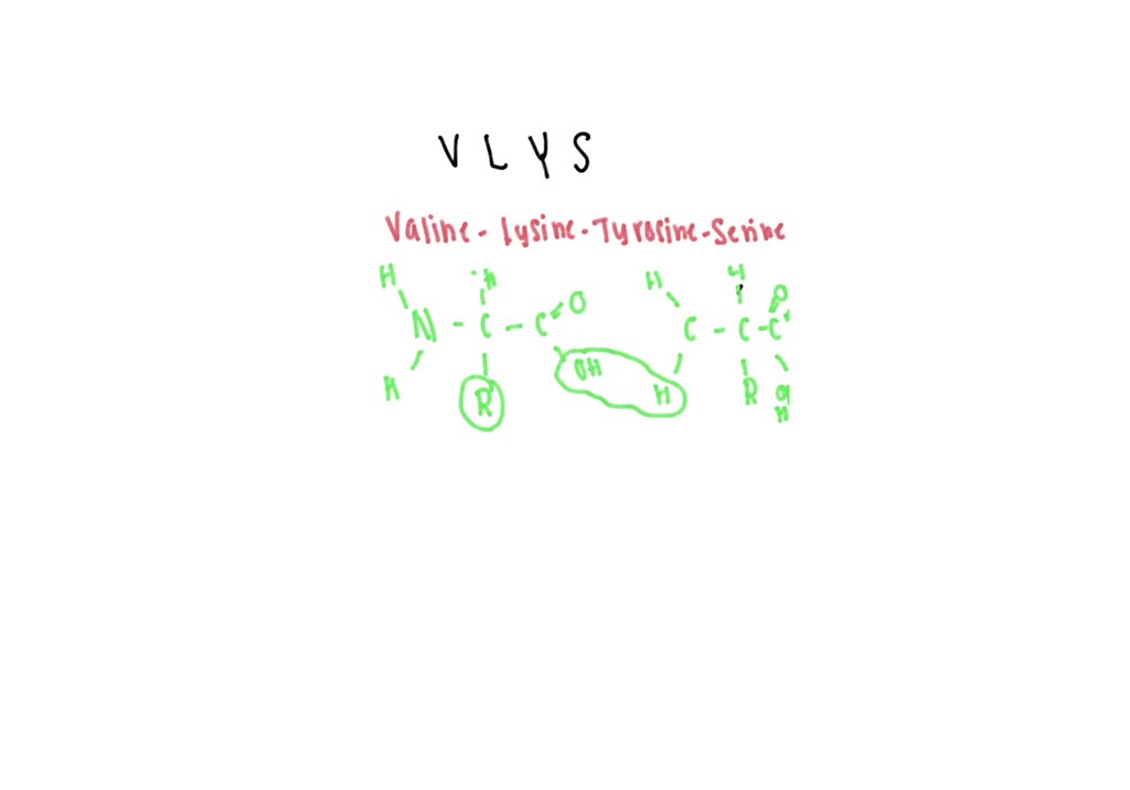 Solved Draw A Polypeptide With The Following Amino Acid Sequence Vlys