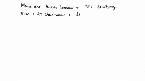 the-mouse-and-human-genomes-share-about-75-similarity-and-mice-have-24-chromosomes-compares-to-our-23-many-of-the-sequences-in-human-chromosome-x-occur-in-the-mouse-chromosome-x-in-the-same-07734