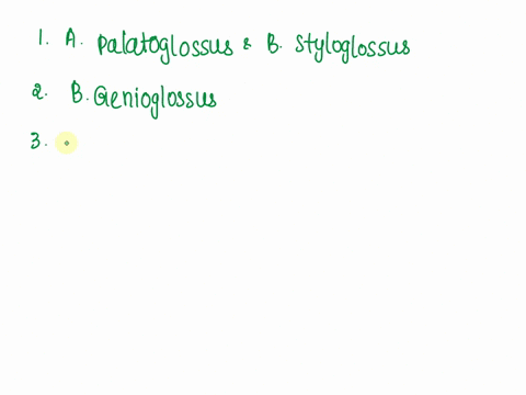 ue-12-13-which-of-these-muscles-could-help-to-pull-the-base-of-the-tongue-back-and-up-apalatoglossus-bstyloglossus-cgenioglossus-both-a-and-b-14the-inability-to-protrude-the-tongue-basically-19318