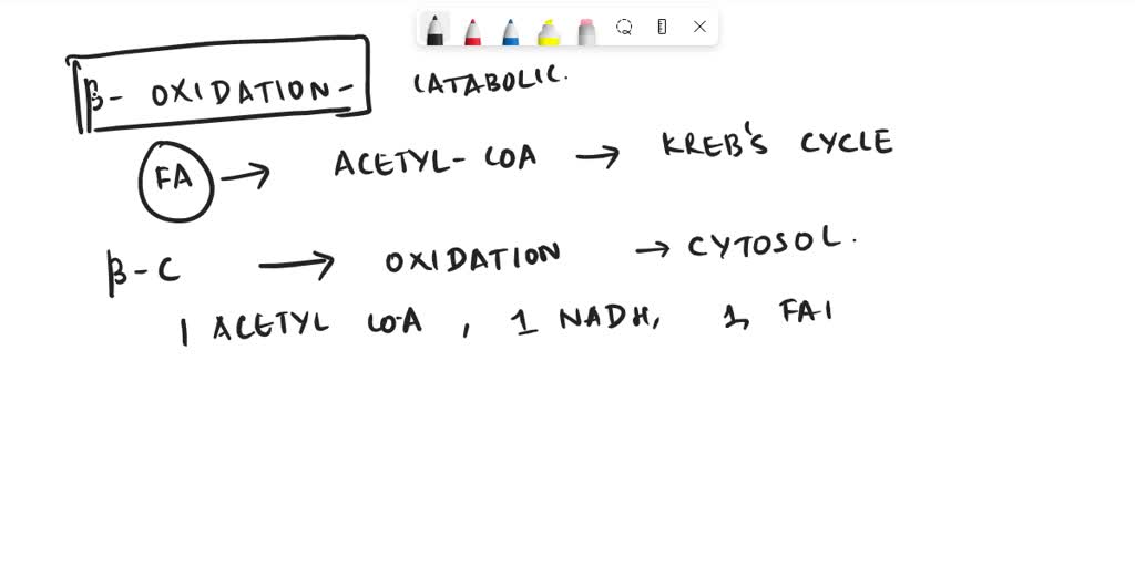 SOLVED The betaoxidation of an 18 carbon saturated fatty acid would