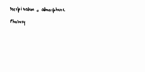 which-of-these-processes-from-the-carbon-cycle-releases-carbon-dioxide-into-the-atmosphere-decomposition-b-respiration-photosynthesis-d-transpiration-52985