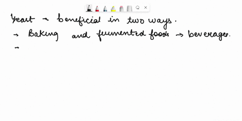 describe-two-ways-in-which-yeasts-are-useful-to-humans-43252