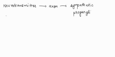 whot-neurotransmitter-is-released-by-the-axon-of-a-sympathetic-preganglionic-neuron-to-communicate-with-the-sympathetic-postganglionic-neuron-acetylcholine-epinephrine-norepinephrine-adrenal-21297