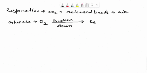 what-process-releases-carbon-dioxide-back-into-the-air-21552