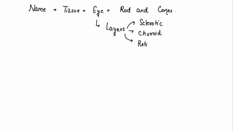 name-the-tissue-in-the-eye-where-rods-and-cones-are-found-47009