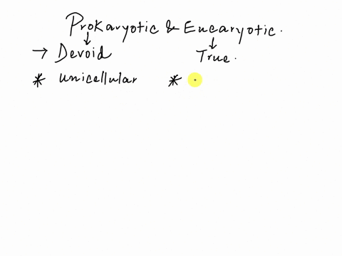 describe-prokaryotes-and-eukaryotes-and-list-some-of-their-differences-also-name-and-briefly-describe-the-theory-which-explains-for-the-formation-of-eukaryotes-75385