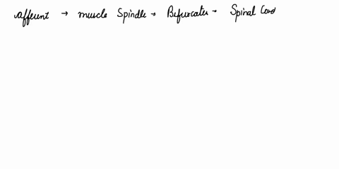 5-muscle-spindle-and-golgi-tendon-organ-are-the-sensory-receptors-for-the-stretch-reflex-and-the-golgi-tendon-reflex-respectively-a-in-a-stretch-reflex-how-does-the-excitatory-signal-generat-46688