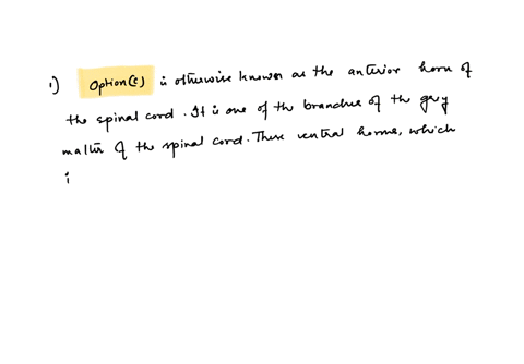 question-91-point-jim-is-tapping-his-finger-on-the-counterthe-cell-body-of-the-neuron-responsible-for-this-movement-is-found-where-dorsal-horn-of-grey-matter-in-spinal-cord-oneuromuscularjun-06509