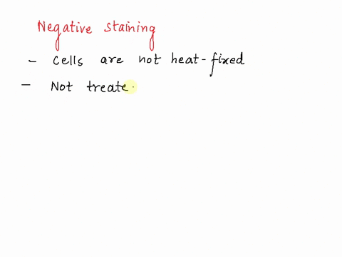 why-do-bacteria-appear-to-be-larger-when-stained-with-a-negative-syain-than-with-a-positive-stain-43269
