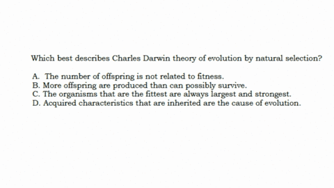 w6-write-the-letter-and-the-answer-which-best-describes-charles-darwin-theory-of-evolution-by-natural-selection-athe-number-of-offspring-is-not-related-to-fitness-bmore-offspring-are-produced-than-can