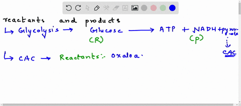 identify-all-the-reactants-and-products-and-their-quantities-throughout-glycolysis-the-citric-acid-cycle-and-the-electron-transport-chain-each-separately-based-on-one-molecule-of-glucose-als-54736