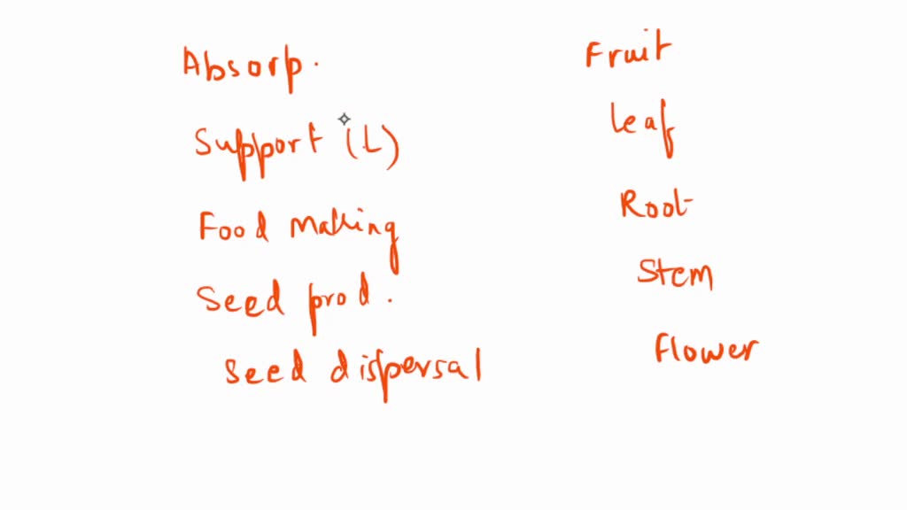 SOLVED: Match The Following Plant Parts With Their Functions: 1 ...