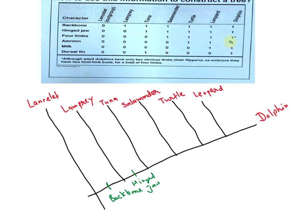 Figure 26. UNOS: How to use this information to construct a tree