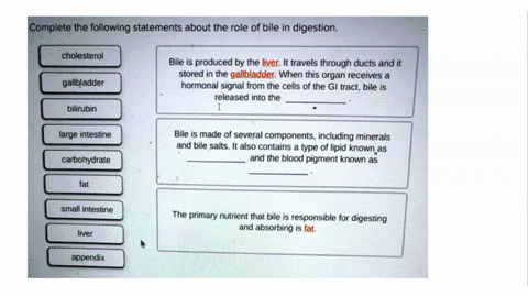 complete-the-following-statements-about-the-role-of-bile-in-digestion-cholesterol-bile-is-produced-by-the-liver-it-travels-through-ducts-and-it-stored-in-the-gallbladder-when-this-organ-rece-59138