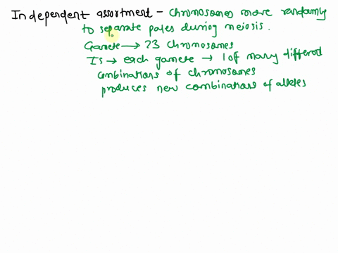 explain-how-independent-assortment-of-chromosomes-crossing-over-and-random-fertilization-contribute-to-genetic-diversity-in-offspring-during-meiosis-46901