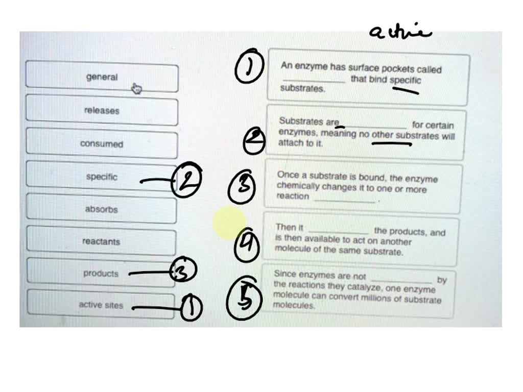 SOLVED An enzyme has surface pockets called active sites that bind