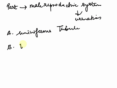 what-part-of-the-male-reproductive-system-is-also-responsible-for-urination-a-seminiferous-tubules-b-epididymis-c-vas-deferens-d-urethra-19211