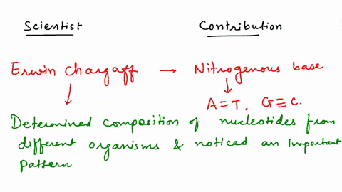 question-5-match-the-names-of-the-scientists-to-their-contribution-to-knowledge-of-dna-as-genetci-material-dna-structure-and-dna-replication-used-radioactively-labeled-a-erwin-chargaff-bacte-45653