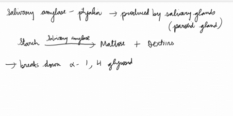 lab-7digestive-system-ouestions-answer-the-following-questions-1what-are-the-actions-and-optimal-conditions-for-salivary-amylase-2what-are-the-actions-and-optimal-conditions-for-pepsin-3what-86968