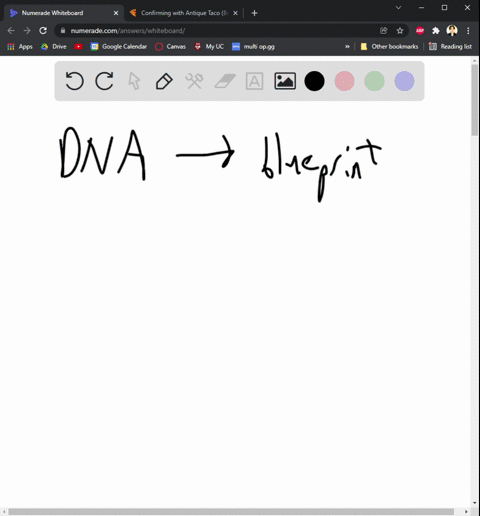 some-people-compare-dna-to-a-blueprint-stored-in-the-office-of-a-construction-company-explain-how-th-22611