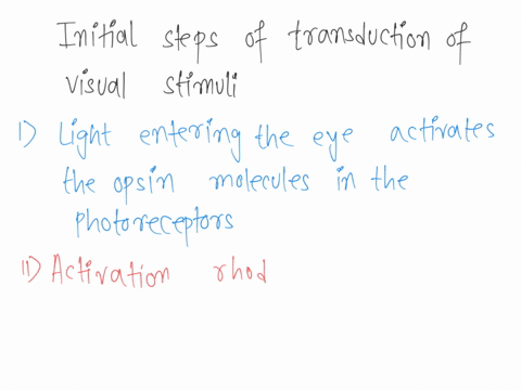 initial-steps-of-transduction-of-visual-stimuli-into-electrical-signals-are-light-energy-rods-color-vision-light-energy-photoreceptors-closing-of-na-channels-hyperpolarization-light-energy-p-88928