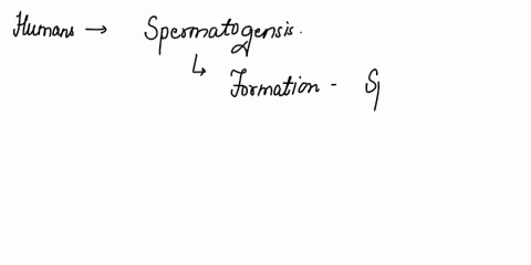 1-how-many-days-does-it-take-for-spermatogenesis-to-complete-2-how-many-spermatozoa-mature-sperm-cells-are-produced-each-day-3-how-many-spermatozoa-are-typically-released-during-an-ejaculati-04434