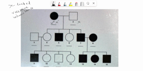 question-15-what-is-the-likely-inheritance-pattern-of-the-following-pedigree-autosomal-recessive-autosomal-dominance-x-linked-recessive-x-linked-dominance-mitochondrial-inheritance-17758