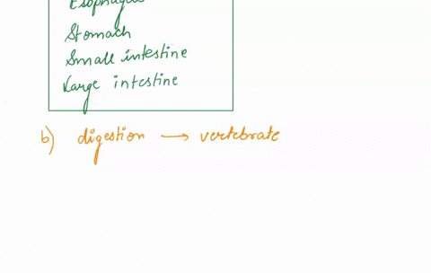 nituration-and-digestion-a-what-are-the-organs-compartments-of-mammalian-alimentary-canal-accessory-organs-of-digestive-system-sphincters-b-how-does-vertebrate-digestion-works-know-what-happ-92732
