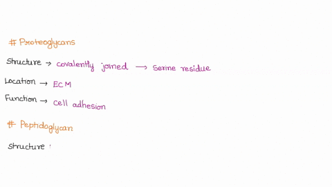 determine-whether-the-structure-location-and-functions-describe-proteoglycans-peptidoglycan-glycoproteins-or-glycolipids-glcnac-is-n-acetylglucosamine-murnac-is-n-acetylmuramic-acid-proteogl-12119