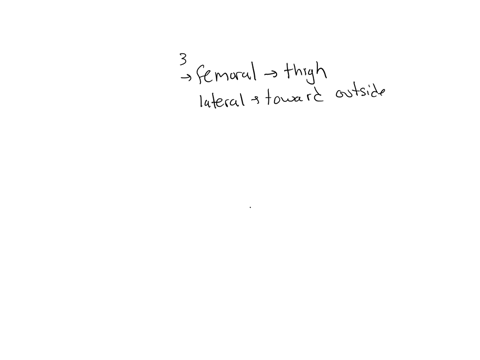 3-a-nurse-informs-you-that-she-is-about-to-give-you-a-shot-in-the-lateral-femoral-region-what-portion-of-your-body-should-you-uncover-4-correctly-identify-each-of-the-body-planes-by-insertin-94594