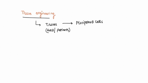 tissue-engineering-is-beneficial-for-which-of-the-following-reasons-astem-cells-are-more-powerful-than-any-device-bstem-cells-are-stronger-than-any-other-material-cstem-cells-automatically-c-51966