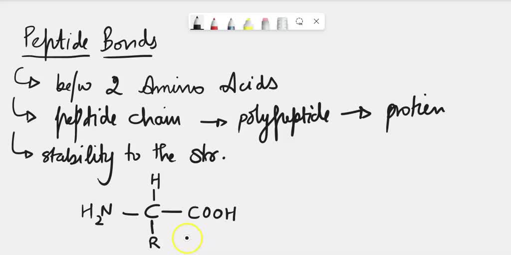 SOLVED: The Covalent Bonds That Form Between The Amino Acids In A ...